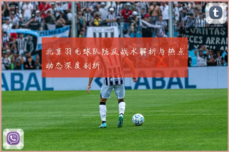 北京羽毛球队防反战术解析与热点动态深度剖析