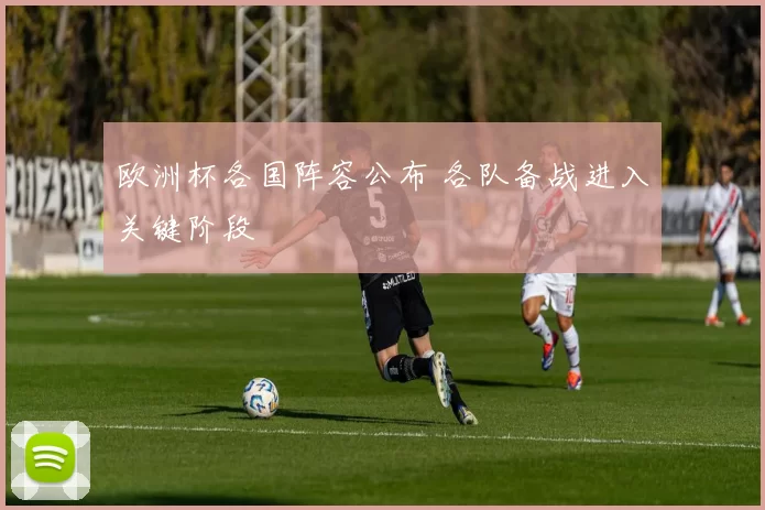 欧洲杯各国阵容公布 各队备战进入关键阶段