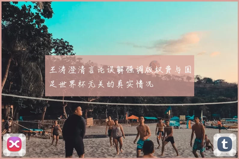 王涛澄清言论误解强调版权费与国足世界杯无关的真实情况