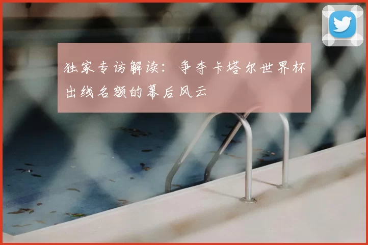 独家专访解读:争夺卡塔尔世界杯出线名额的幕后风云