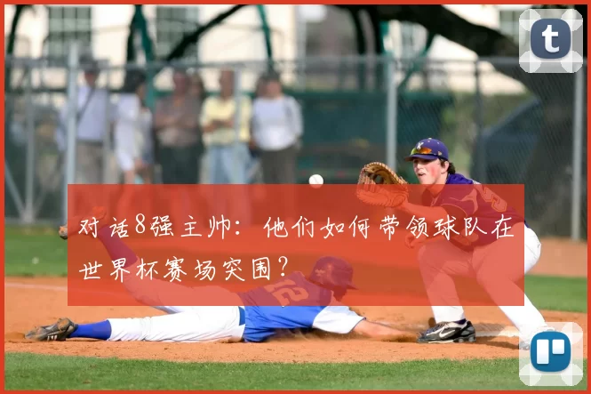 对话8强主帅:他们如何带领球队在世界杯赛场突围?