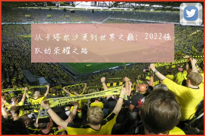 从卡塔尔沙漠到世界之巅:2022强队的荣耀之路
