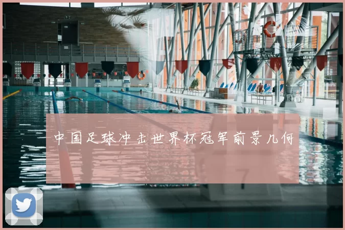 中国足球冲击世界杯冠军前景几何