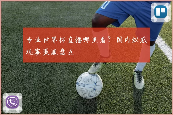 专业世界杯直播哪里看？国内权威观赛渠道盘点